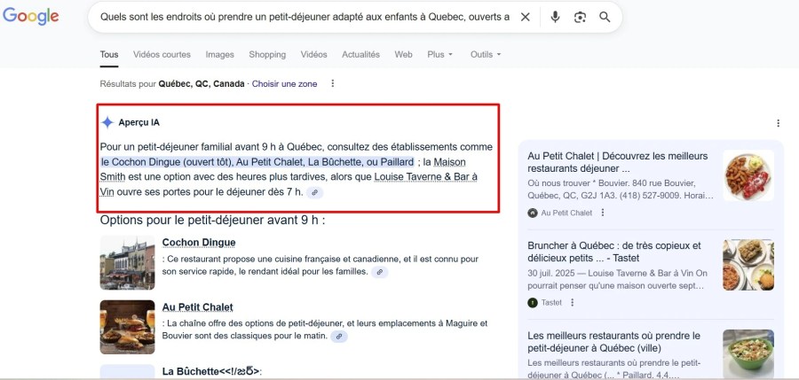 Aperçus IA dans les résultats de recherche